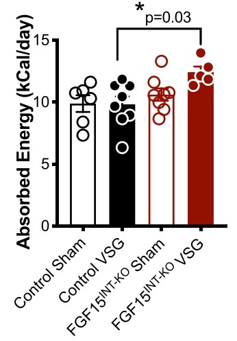 Absorbed energy during week 11 after surgery.jpg